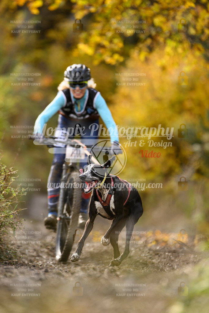 MompixPhotography_ICF_WC_2024_SA_Bike_-344 | PayLife