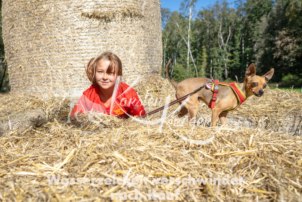 1354_ZZ91814-3 | kk-dogfotos