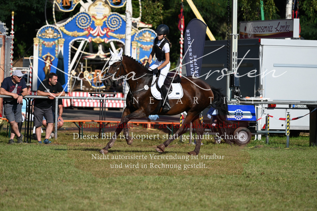 DSC_4937 | Pferde- und Turnierfotografie in Westsachsen. Pferdeportraits, Auftragszeichnungen und intuitive Kunst.