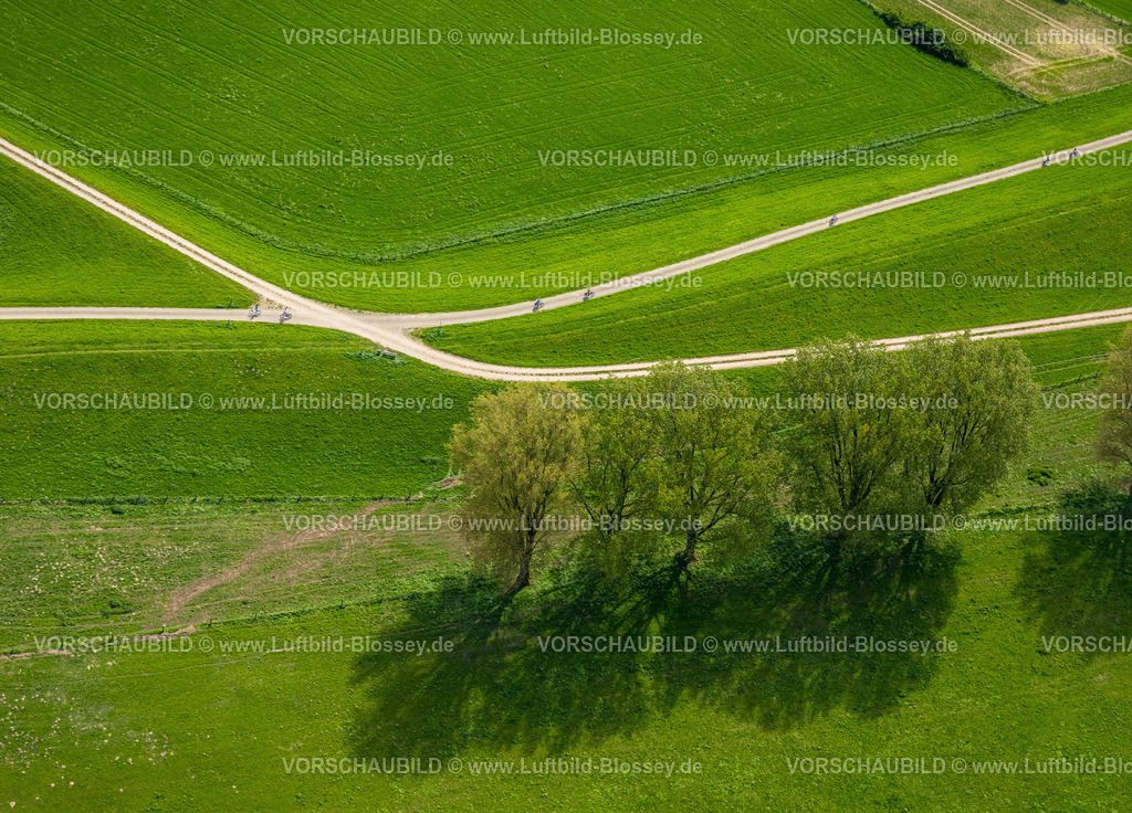 Wesel240402164BislicherInsel-Wesel | Luftbild, NSG Naturschutzgebiet Bislicher Insel Auenlandschaft, Radfahrer und Wegkreuzung an grünen Wiesen mit Bäumen, Eyländer Weg, Formen und Farben, Werrich, Wesel, Niederrhein, Nordrhein-Westfalen, Deutschland