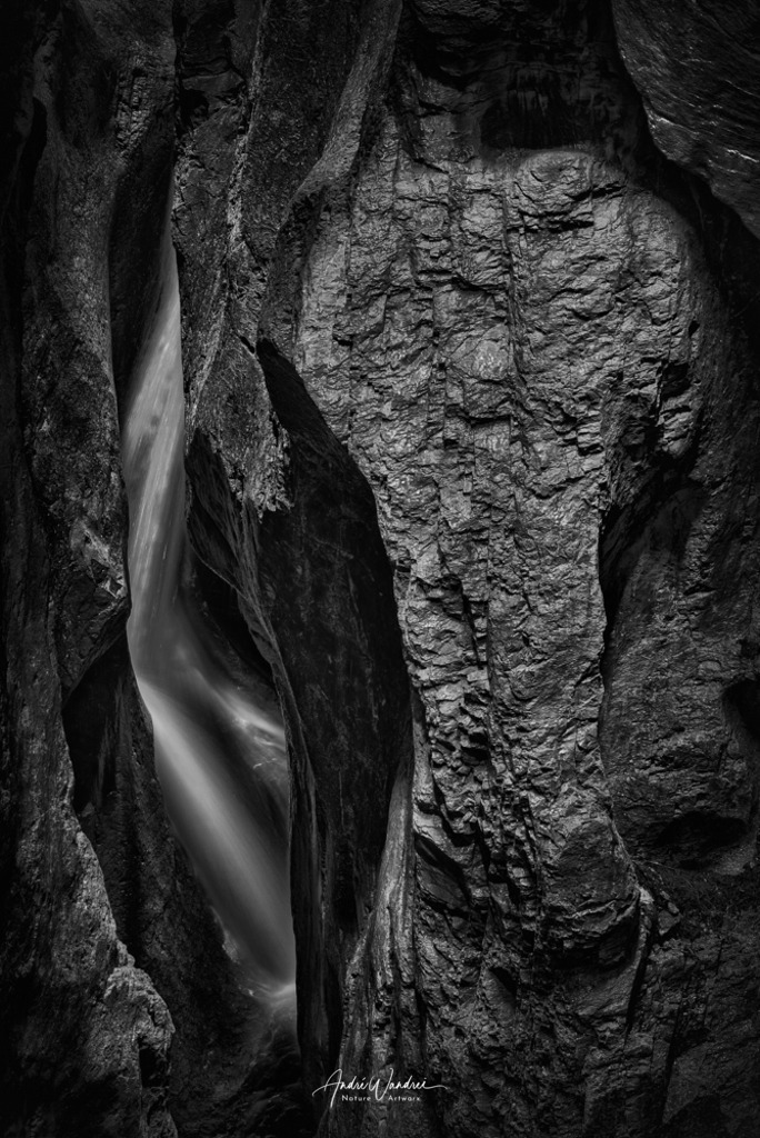 Der Elefant | Andre Wandrei - Nature Artworx - Realisiert mit Pictrs.com