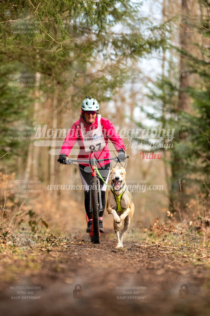 Reiat2023_SAM_Scooter_5km_1H-12 | PayLife