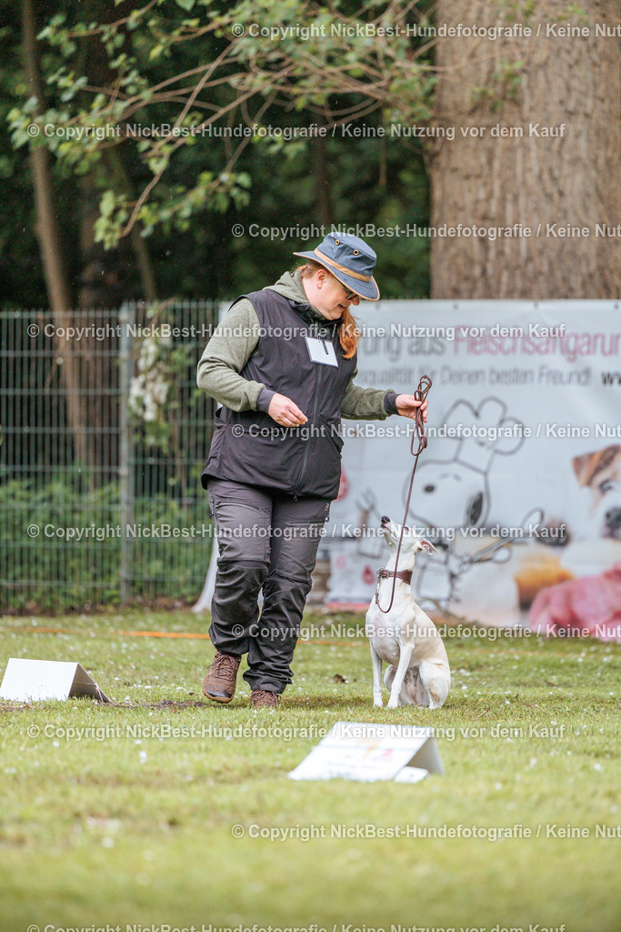RO-Blumenthal-2026-Nickbest-Hundefotografie-0141 | Dein Hund! Dein Moment! Deine Erinnerungen! Hundefotografie in Bremen Blumenthal. Ich fange die besonderen Momente deines Vierbeiners ein – ob Indoor mit Blitzanlage oder in der freien Natur. Sicher dir dein Moment und dein Termin für eure Erinnerungen.