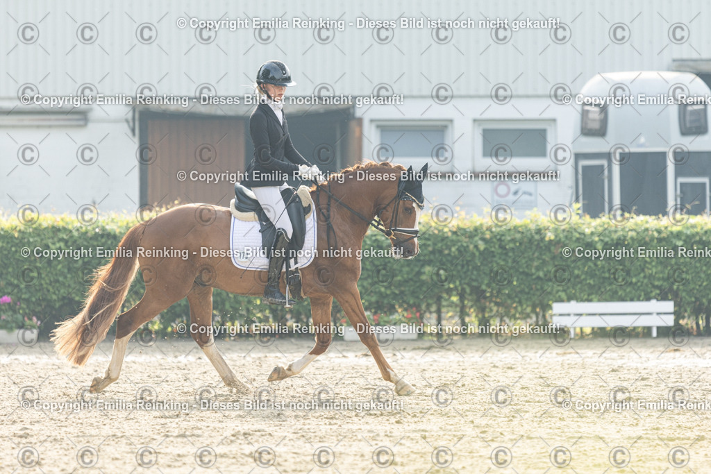 CL5A3660 | Emilia Reinking Fotografie - Realisiert mit Pictrs.com