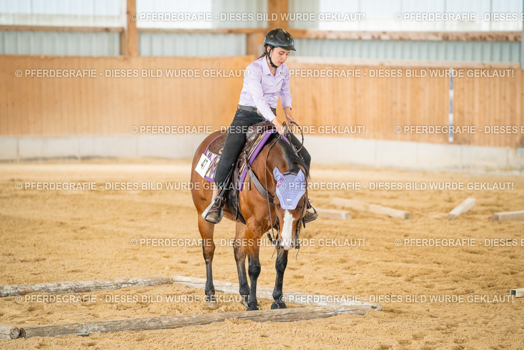 DSC07147 | Pferdegrafie