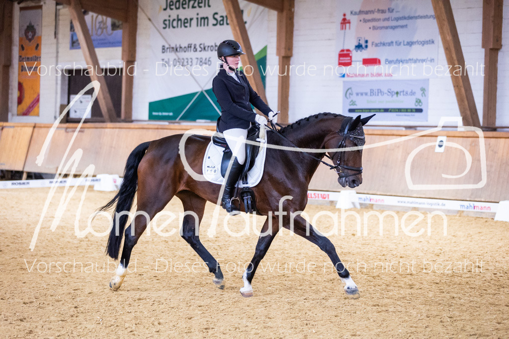 Sth-A-Dre-2St-169 | MomenTaufnahmen Pferdesportfotos