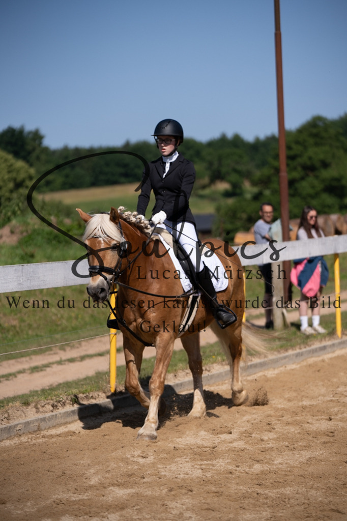 A7V07773 | Pferdefotograf