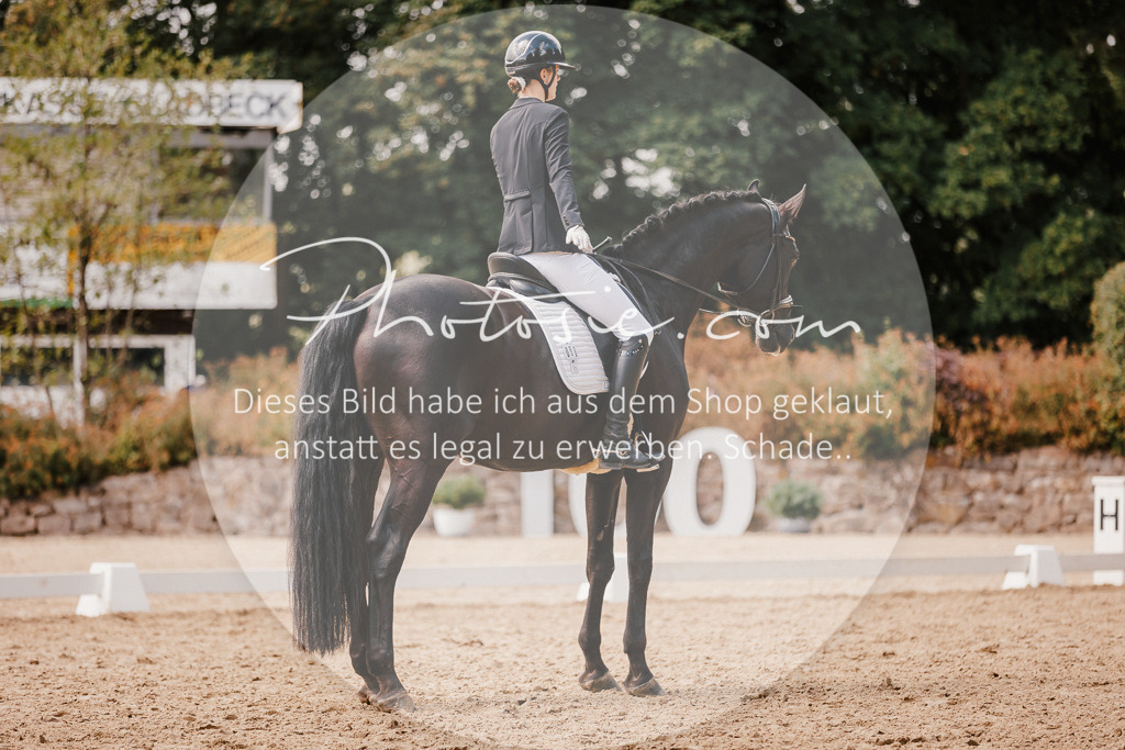 3I6A6075 | Stimmungsvolle Portraits und Reitsportfotografie im Ruhrgebiet und im Münsterland.

Pferdefotografie, Hundefotografie, Tierfotografie, Reportagen, Portraits von Tier und Mensch, Turnierfotografie in Bochum, Recklinghausen, Marl, Haltern am See, Dülmen.. - Realisiert mit Pictrs.com