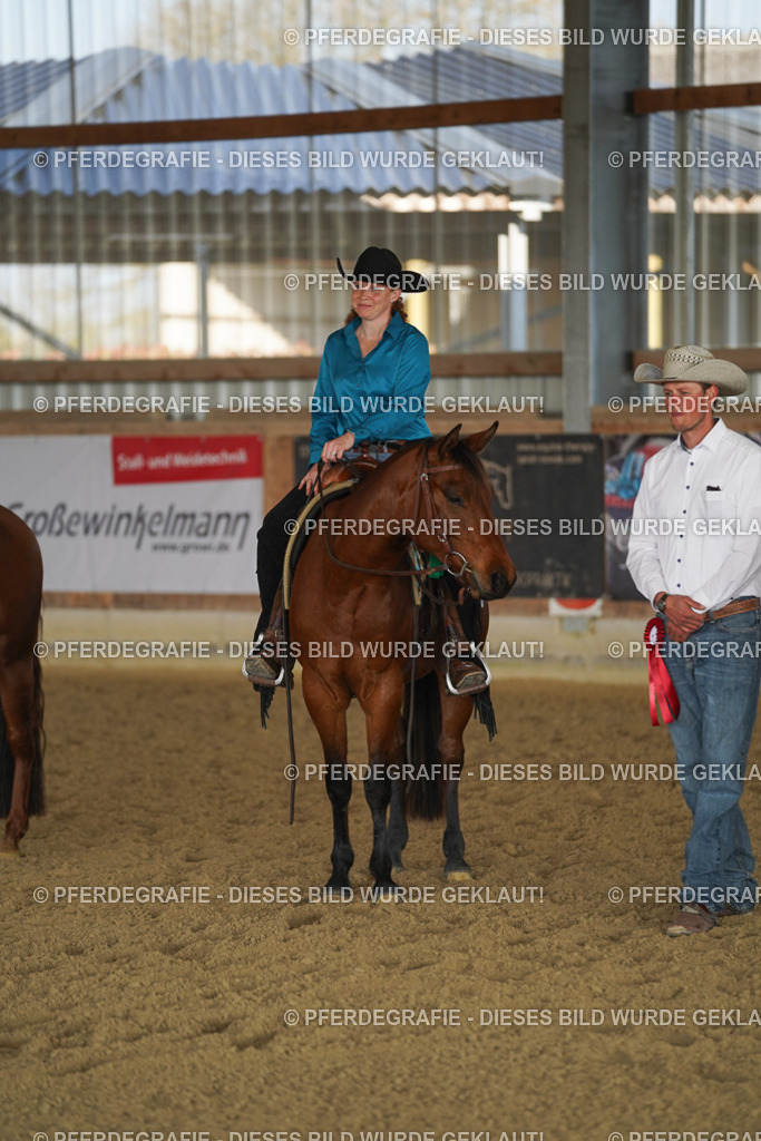 DSC08925 | Pferdegrafie