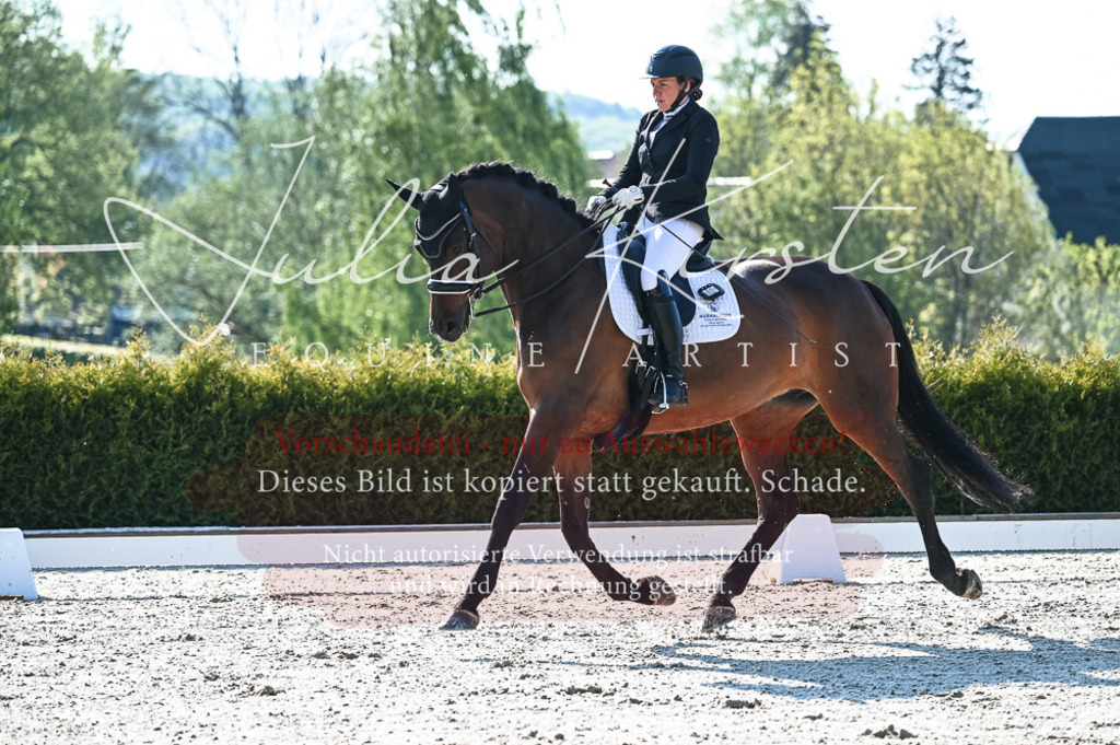 20230514_JK-Röhrsdorf-18-110 | Pferde- und Turnierfotografie in Westsachsen. Pferdeportraits, Auftragszeichnungen und intuitive Kunst.