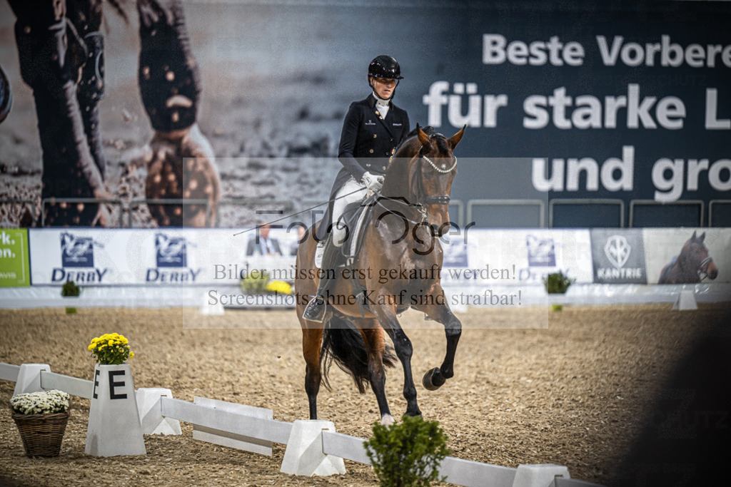 DOS_0008 | Entdecke hochwertige Reitturnierfotos von Foto Oger. Professionell, emotional und authentisch – jetzt Lieblingsmomente im Shop bestellen.Deutschlandweite Turnierfotografie. - Realisiert mit Pictrs.com