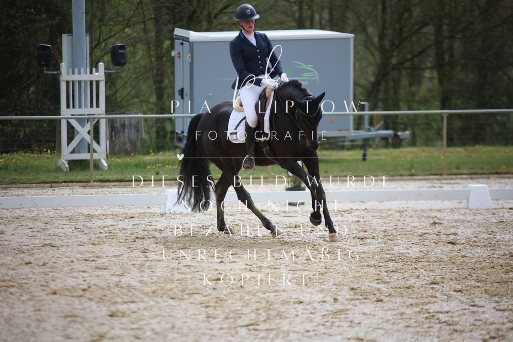 IMGT2668 | pl-fotografie