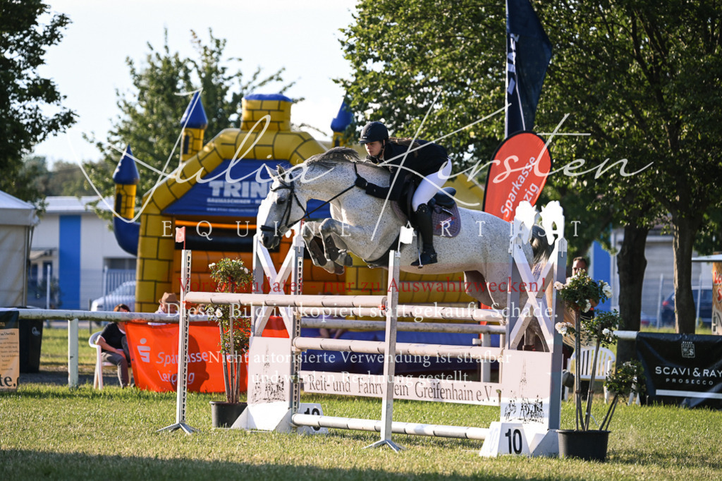 DSC_1801 | Pferde- und Turnierfotografie in Westsachsen. Pferdeportraits, Auftragszeichnungen und intuitive Kunst.