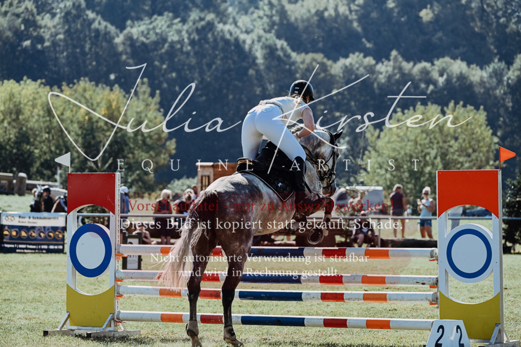 DSC_5508 | Pferde- und Turnierfotografie in Westsachsen. Pferdeportraits, Auftragszeichnungen und intuitive Kunst.