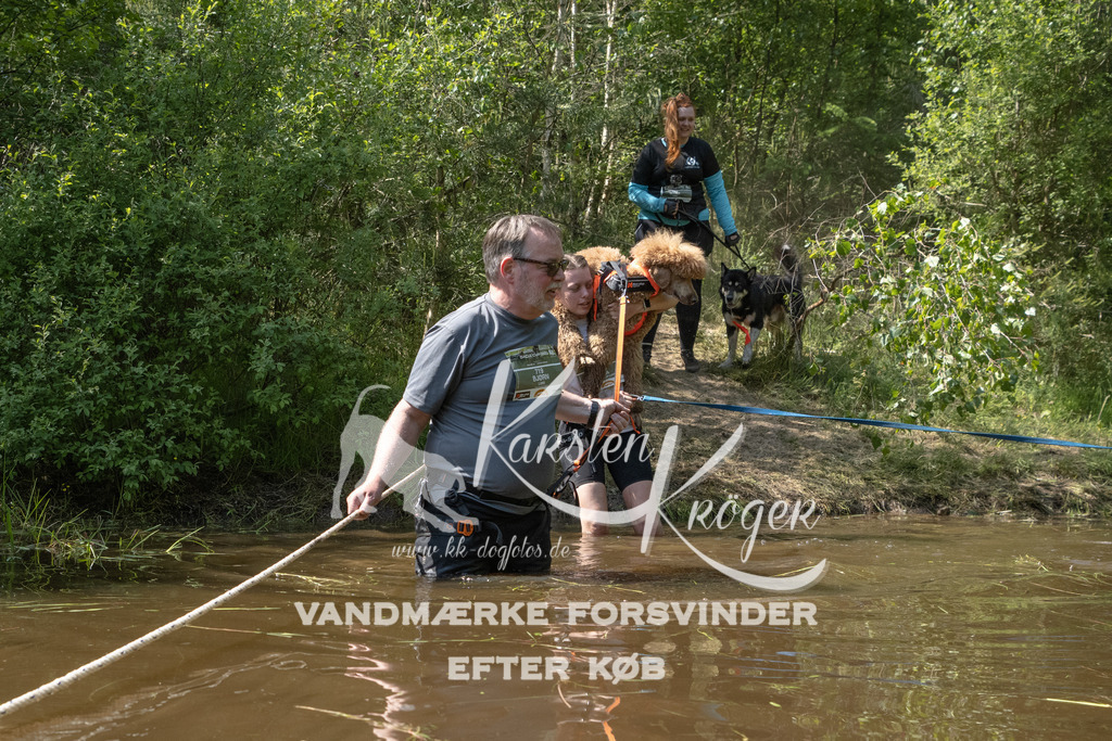 1515DKK990767 | kk-dogfotos