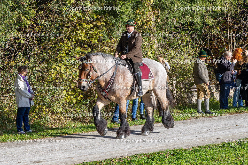 LBT24-799 | foto-bettina-krinner - Realisiert mit Pictrs.com
