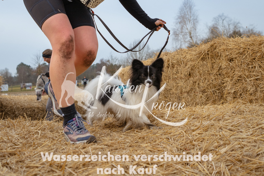 0830_ZZ93110 | kk-dogfotos