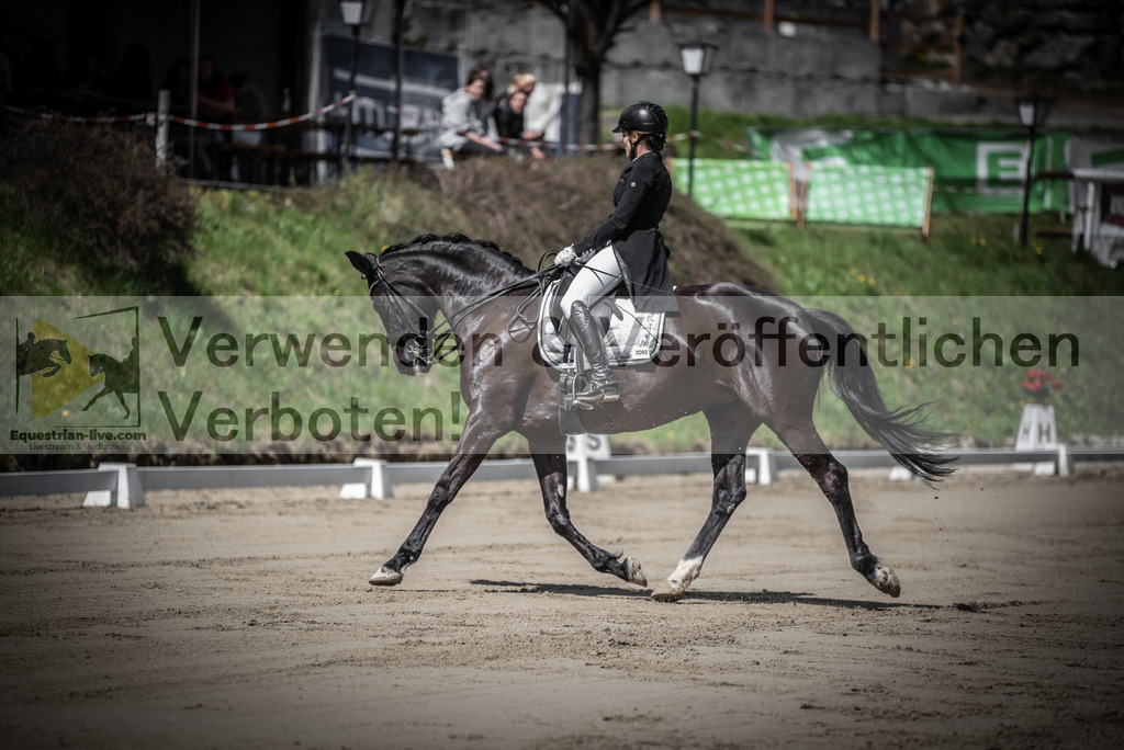 DSC_1663 | equestrian-live-com