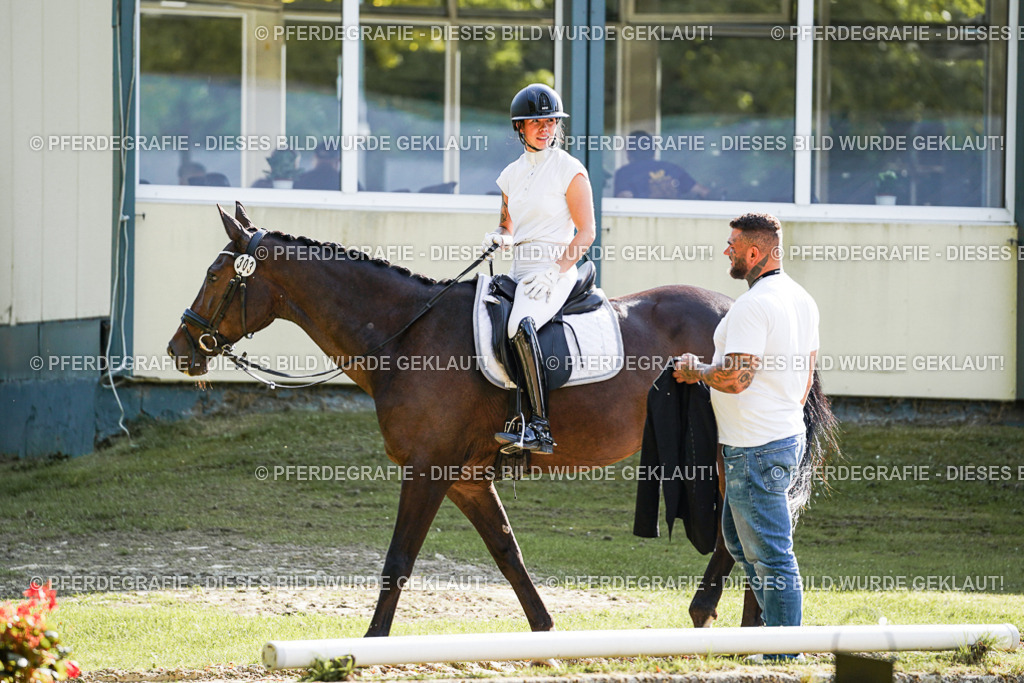 DSC06911 | Pferdegrafie