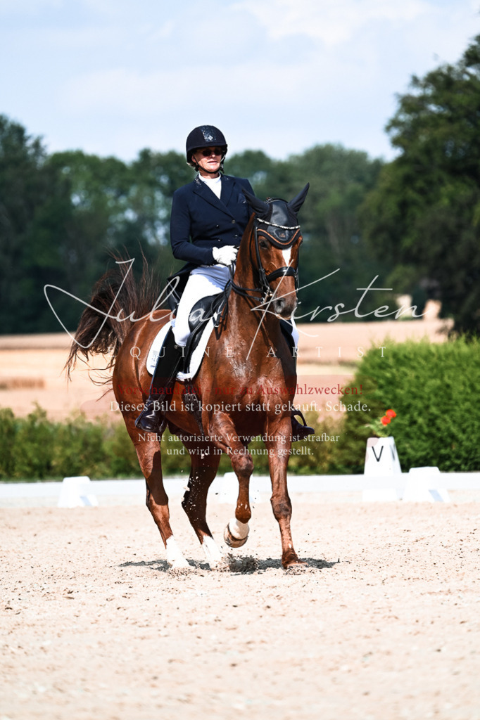 DSC_3222 | Pferde- und Turnierfotografie in Westsachsen. Pferdeportraits, Auftragszeichnungen und intuitive Kunst.