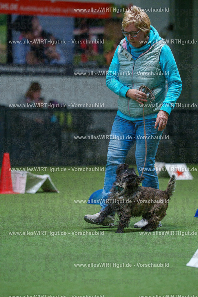 7R503212 | Professionelle Tierfotografie in Mönchengladbach von Daniel Wirth (allesWIRTHgut). Liebevolle & natürliche Bilder von Hunden & Katzen für unvergessliche Erinnerungen.