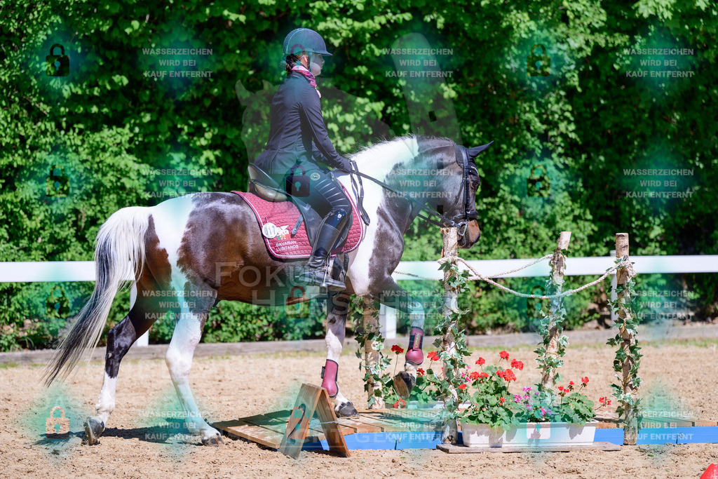 01052026-Giesenbach-02-Stiltrail-0192 | Fokus Hufschlag Fotografie - Realisiert mit Pictrs.com