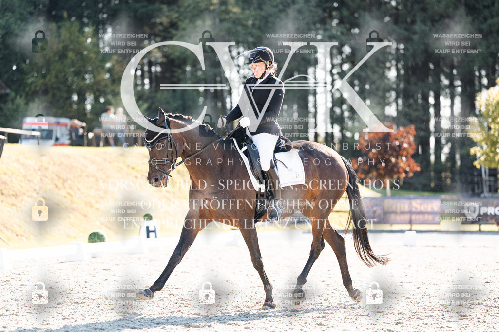 CK906370 | Turnierfotografie Pferdefotografie Trier Rheinland-Pfalz Pferdesport Reitsport Tierfotografie Sportfotografie Pferdevideo Pferdevideografie Equestrianvideography equestrianphotography  - Realisiert mit Pictrs.com