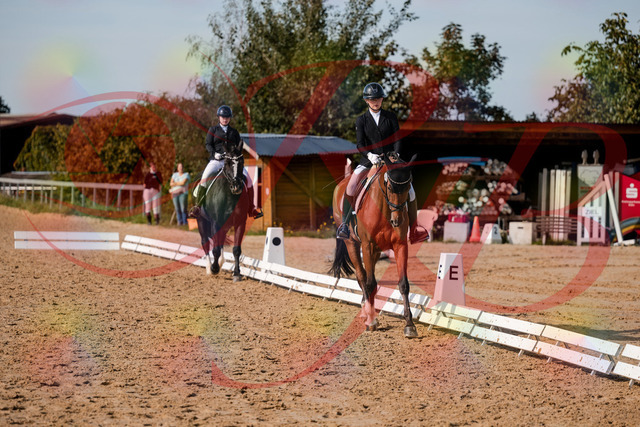 2026_10_03_Siefer-Hof_131537_Z63_77409996 | Professionelle Reitsport-, Turnier- und Eventfotografie von Robert Broda. Galerien mit ausgewählten und bearbeiteten Bildern direkt online ansehen und bestellen.