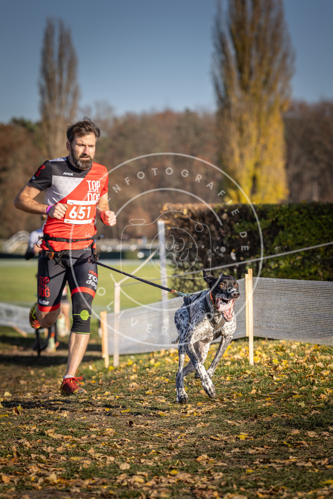 CaniXpix_DV3A0478 | Hundefotografie, Tierfotograf, Pfotenfotografie, Fotoshooting Hund, Hunde Portrait, Hundesport, Hundeportraits, Heideshooting, Hunde, Sportfotograf, Hundefotograf, Turnierhundsport, THS,  - Realisiert mit Pictrs.com