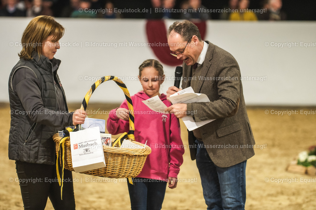 20240302_Hengstvorstellung_Marbach_TOMsPiC_1321-2 | equistock