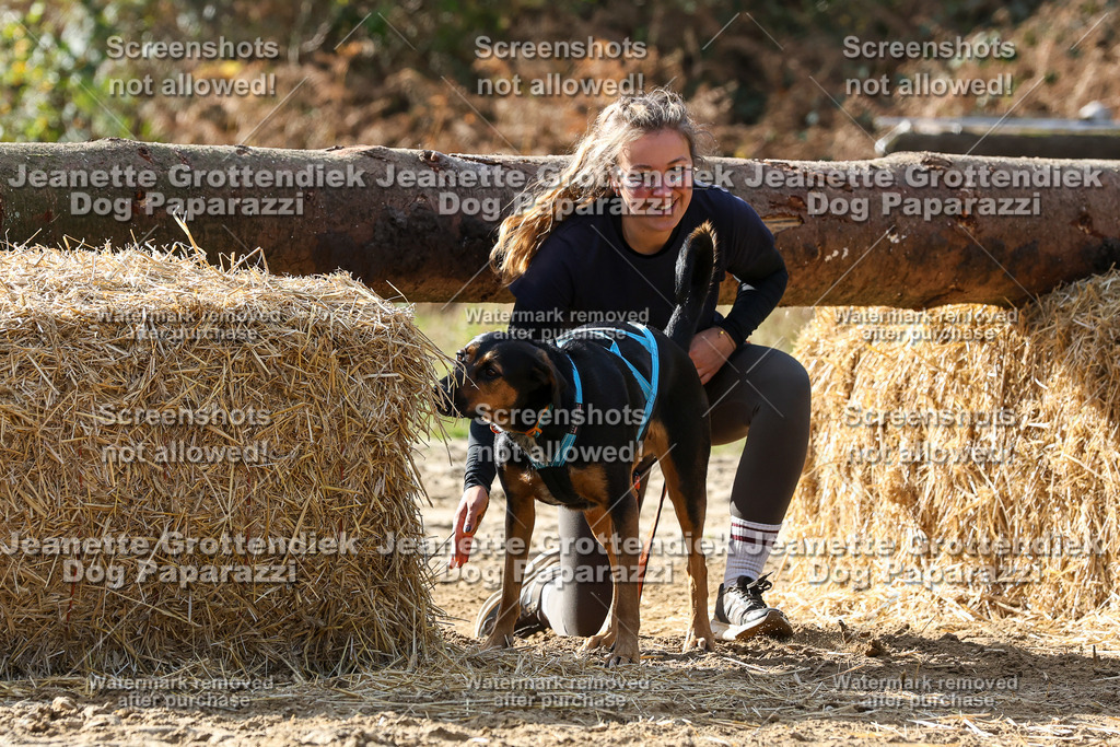Dog Paparazzi - Strongdog 10-25-5843 | Dog Paparazzi Jeanette Grottendiek Fotografie & Videografie - Realisiert mit Pictrs.com