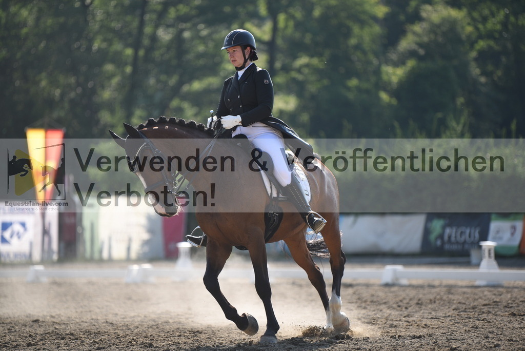 DSC_3052 | equestrian-live-com