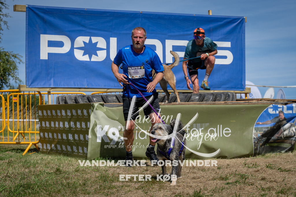 1353_ZZ99552 | kk-dogfotos