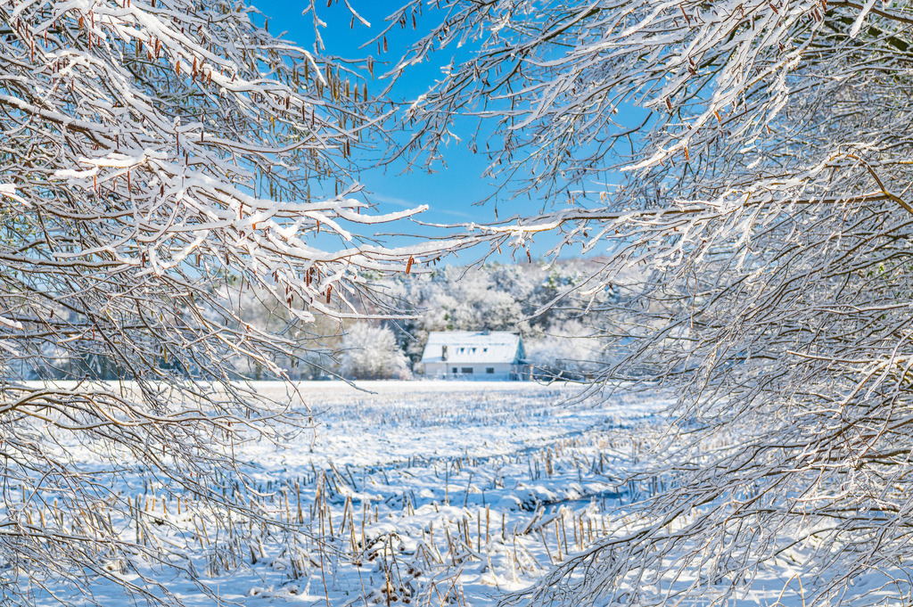 2023_03_11_MCP7174 | Hochwertig gedruckte Fotografien für die Wand, als Kalender und zum Verschenken. Hamburg & Norddeutschland und überall wo ich mit der Kamera unterwegs war.