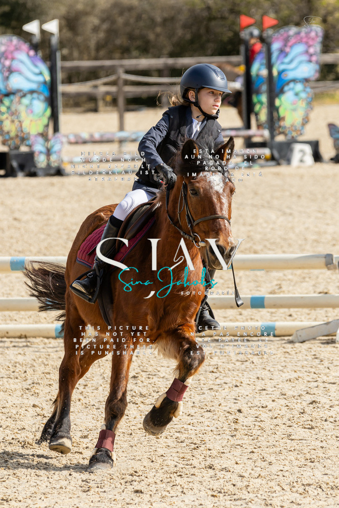 IMG_4387 | s-jay-photography - Realisiert mit Pictrs.com