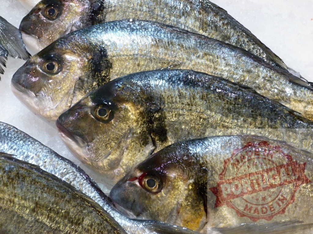 Fresh gilthead bream fish for sale on ice | Raw dorado fish displaying at a seafood market on crushed ice - Realized with Pictrs.com