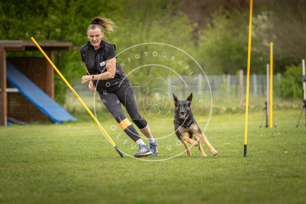 Pfotenfotografie_DV3A7484 | Hundefotografie, Tierfotograf, Pfotenfotografie, Fotoshooting Hund, Hunde Portrait, Hundesport, Hundeportraits, Heideshooting, Hunde, Sportfotograf, Hundefotograf, Turnierhundsport, THS,  - Realisiert mit Pictrs.com