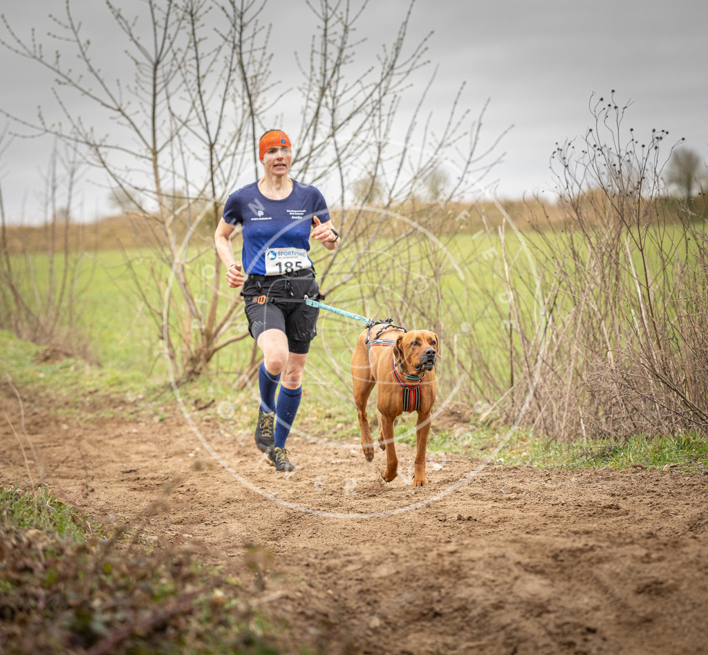 DV3A2151 | Hundefotografie, Tierfotograf, Pfotenfotografie, Fotoshooting Hund, Hunde Portrait, Hundesport, Hundeportraits, Heideshooting, Hunde, Sportfotograf, Hundefotograf, Turnierhundsport, THS,  - Realisiert mit Pictrs.com