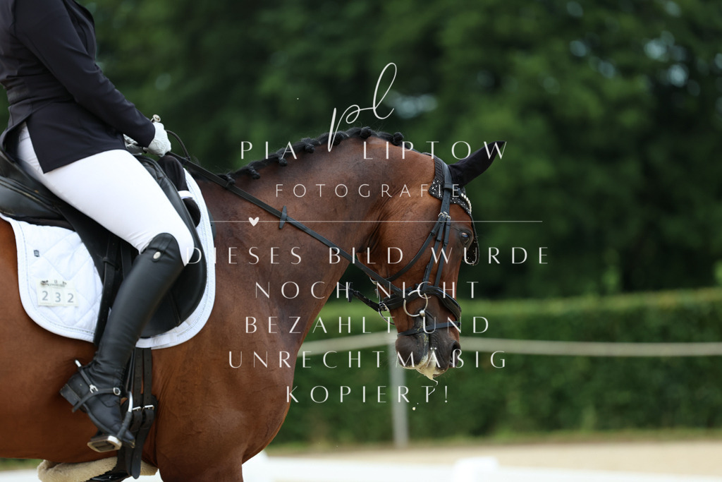 IMGM2677 | pl-fotografie