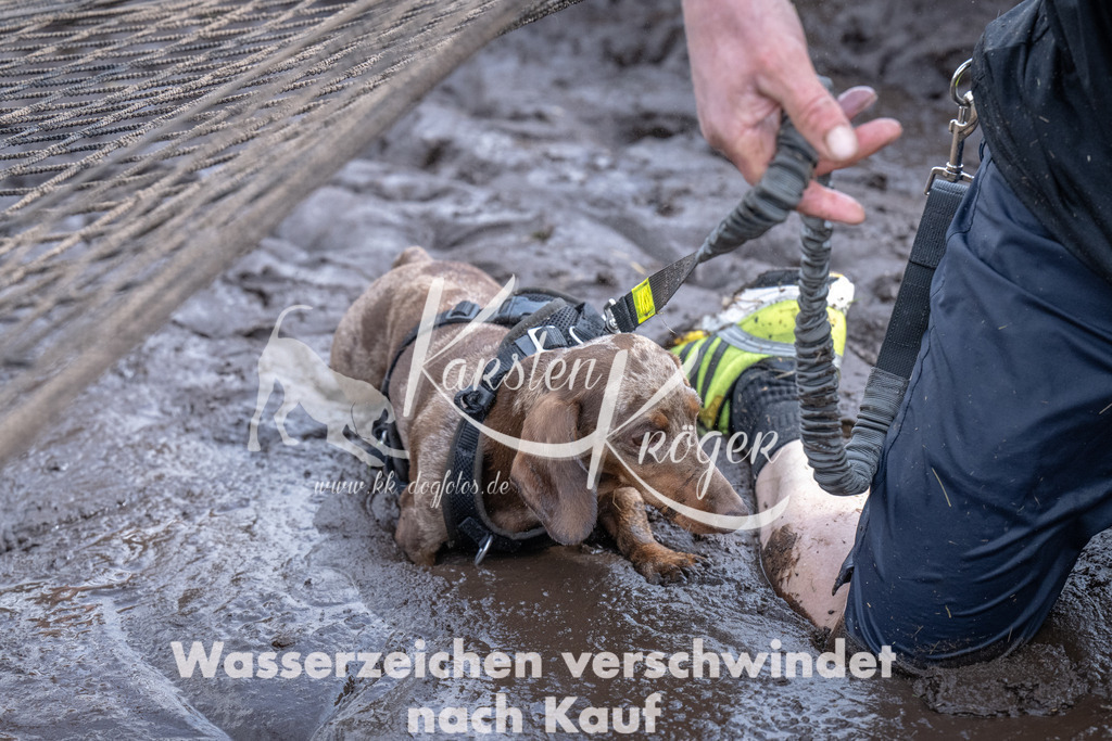 1415_ZZ91647 | kk-dogfotos