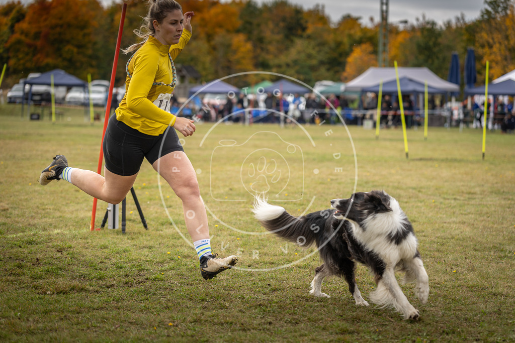 Pfotenfotografie_DV3A6976 | Hundefotografie, Tierfotograf, Pfotenfotografie, Fotoshooting Hund, Hunde Portrait, Hundesport, Hundeportraits, Heideshooting, Hunde, Sportfotograf, Hundefotograf, Turnierhundsport, THS,  - Realisiert mit Pictrs.com