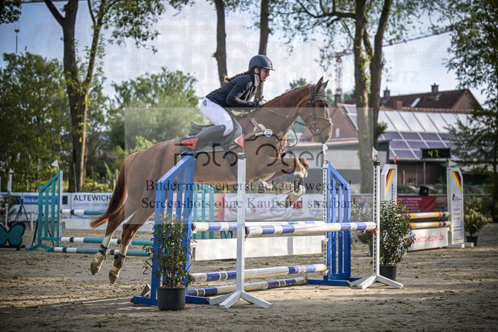 DOS_4162 | Entdecke hochwertige Reitturnierfotos von Foto Oger. Professionell, emotional und authentisch – jetzt Lieblingsmomente im Shop bestellen.Deutschlandweite Turnierfotografie. - Realisiert mit Pictrs.com