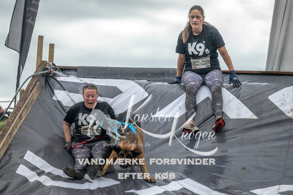 1346_ZZ93183 | kk-dogfotos