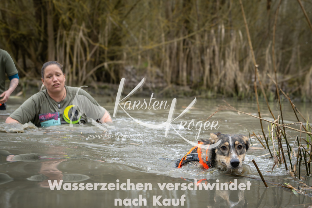 1337_ZZ90862 | kk-dogfotos