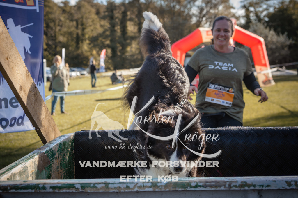 1216_ZZ95248 | kk-dogfotos