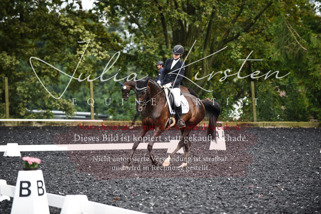 DSC_3013 | Pferde- und Turnierfotografie in Westsachsen. Pferdeportraits, Auftragszeichnungen und intuitive Kunst.