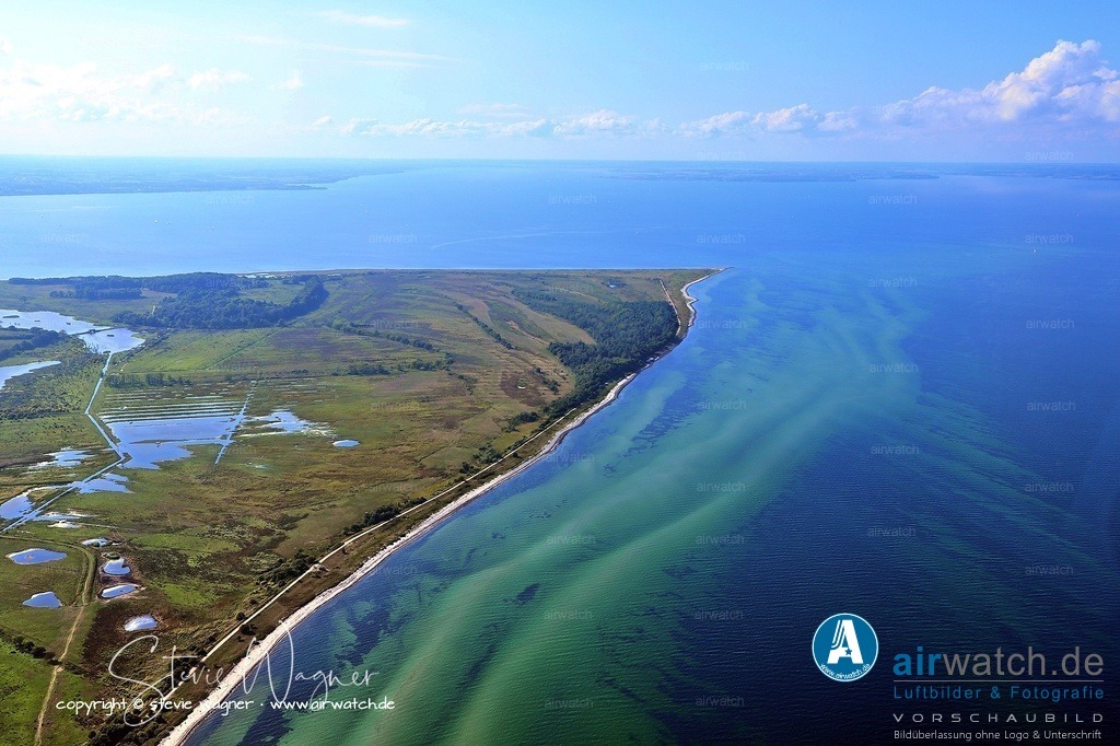Geltinger Birk Luftbild - Zur Erhaltung der Weidelandschaften | Zur Erhaltung der Weidelandschaften werden Herden von Pferden (Koniks), Rindern (Schottische Hochlandrinder, Galloways), Ziegen und Schafen eingesetzt. Die Mühle Charlotte, eine 1794 erbaute Windmühle, ist ein markantes Bauwerk und Symbol der Entwässerungsgeschichte. Die Betreuung des Gebietes liegt seit 1977 in den Händen des NABU Schleswig-Holstein, der in Falshöft eine integrierte Naturschutzstation eingerichtet hat.