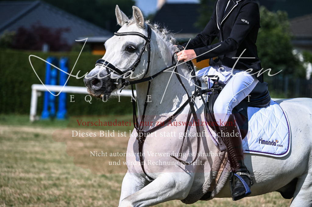 DSC_7732 | Pferde- und Turnierfotografie in Westsachsen. Pferdeportraits, Auftragszeichnungen und intuitive Kunst.