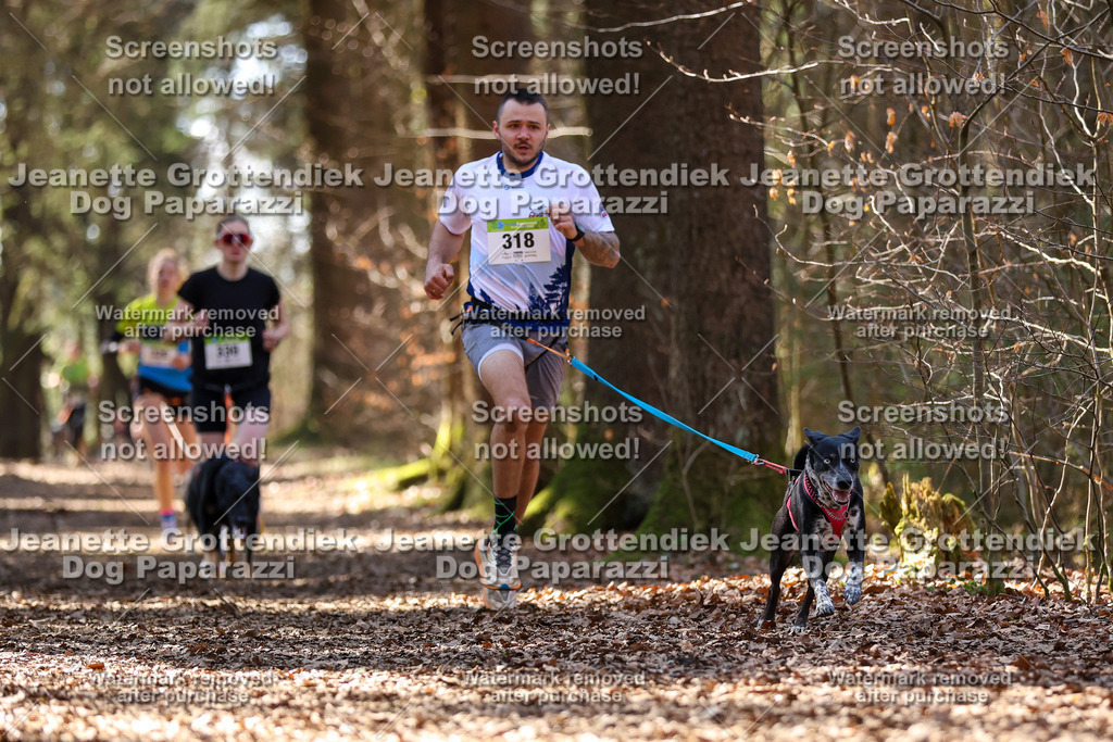 Dog Paparazzi - VCC26-1287 | Dog Paparazzi Jeanette Grottendiek Fotografie & Videografie - Realisiert mit Pictrs.com