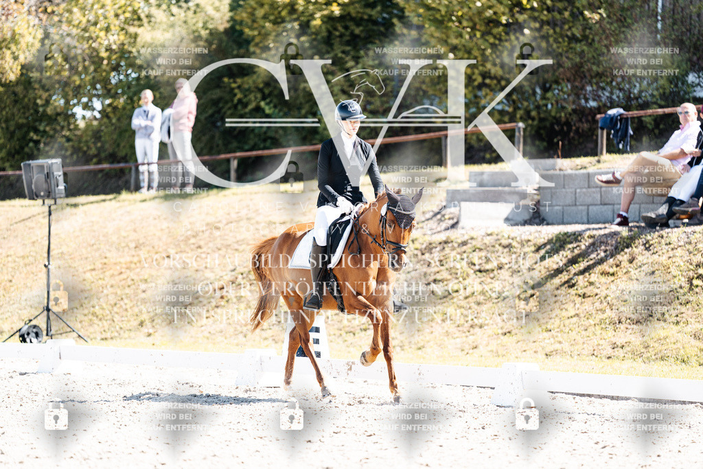 CK903607 | Turnierfotografie Pferdefotografie Trier Rheinland-Pfalz Pferdesport Reitsport Tierfotografie Sportfotografie Pferdevideo Pferdevideografie Equestrianvideography equestrianphotography  - Realisiert mit Pictrs.com